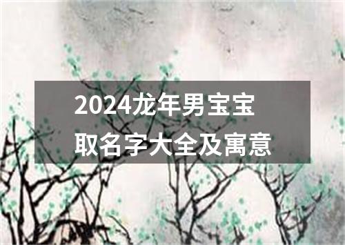 2024龙年男宝宝取名字大全及寓意