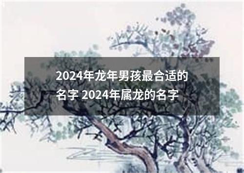 2024年龙年男孩最合适的名字 2024年属龙的名字