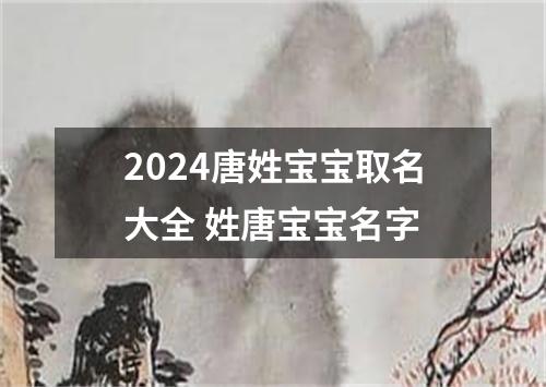 2024唐姓宝宝取名大全 姓唐宝宝名字