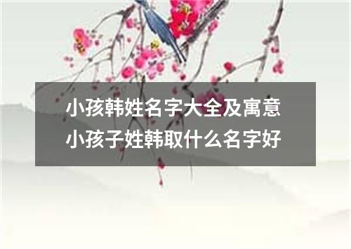 小孩韩姓名字大全及寓意 小孩子姓韩取什么名字好