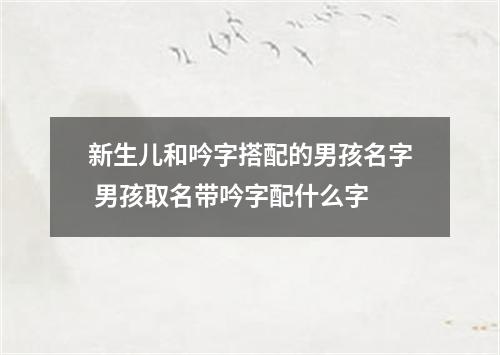 新生儿和吟字搭配的男孩名字 男孩取名带吟字配什么字