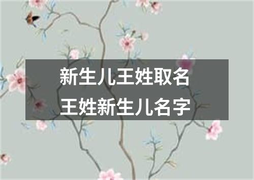 新生儿王姓取名 王姓新生儿名字