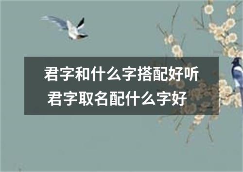 君字和什么字搭配好听 君字取名配什么字好