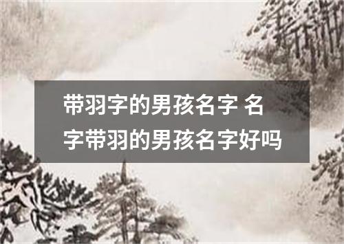带羽字的男孩名字 名字带羽的男孩名字好吗