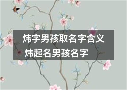 炜字男孩取名字含义 炜起名男孩名字
