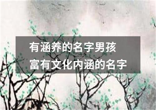 有涵养的名字男孩 富有文化内涵的名字