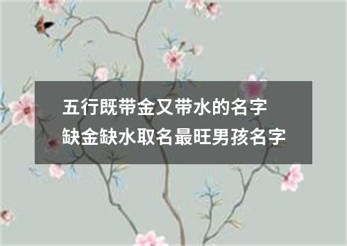 五行既带金又带水的名字 缺金缺水取名最旺男孩名字