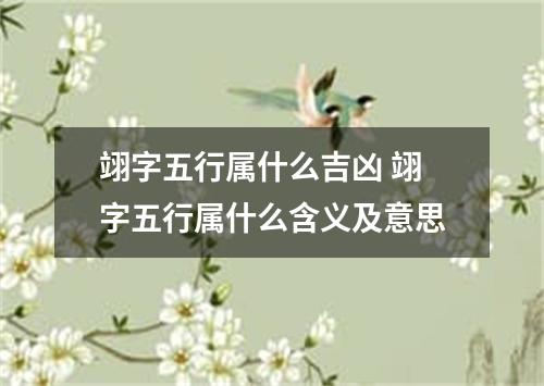 翊字五行属什么吉凶 翊字五行属什么含义及意思