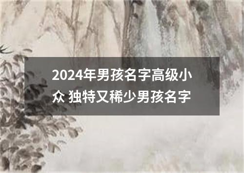 2024年男孩名字高级小众 独特又稀少男孩名字