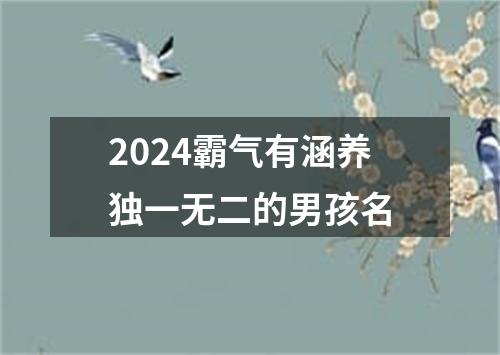 2024霸气有涵养独一无二的男孩名