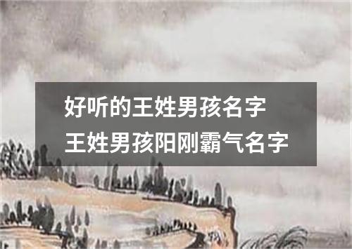 好听的王姓男孩名字 王姓男孩阳刚霸气名字