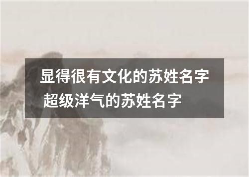 显得很有文化的苏姓名字 超级洋气的苏姓名字