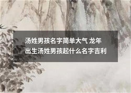 汤姓男孩名字简单大气 龙年出生汤姓男孩起什么名字吉利