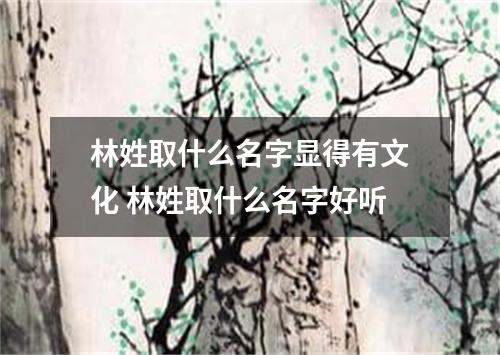 林姓取什么名字显得有文化 林姓取什么名字好听