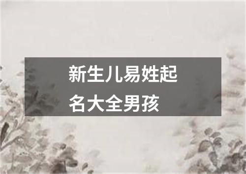 新生儿易姓起名大全男孩