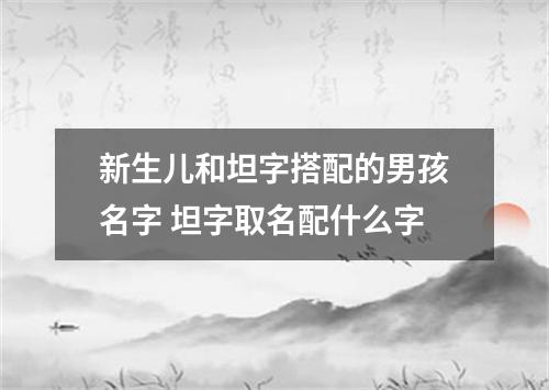 新生儿和坦字搭配的男孩名字 坦字取名配什么字