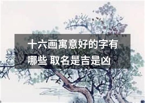 十六画寓意好的字有哪些 取名是吉是凶