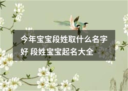 今年宝宝段姓取什么名字好 段姓宝宝起名大全