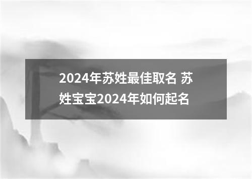 2024年苏姓最佳取名 苏姓宝宝2024年如何起名