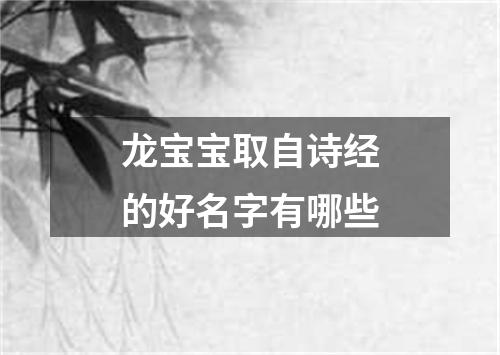 龙宝宝取自诗经的好名字有哪些