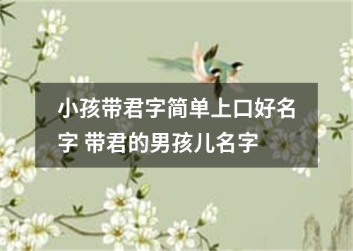 小孩带君字简单上口好名字 带君的男孩儿名字