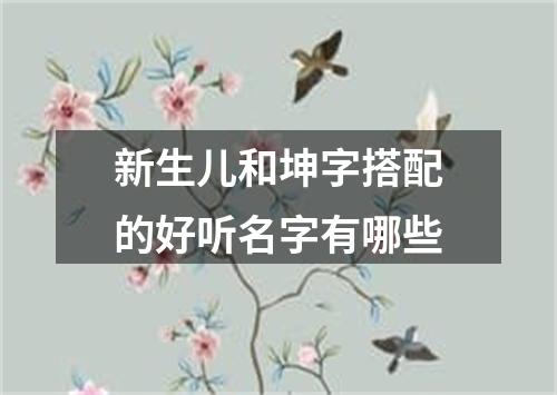 新生儿和坤字搭配的好听名字有哪些