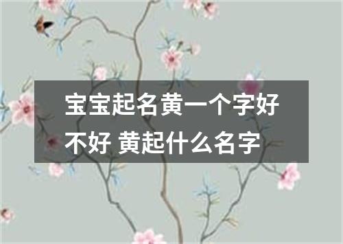 宝宝起名黄一个字好不好 黄起什么名字