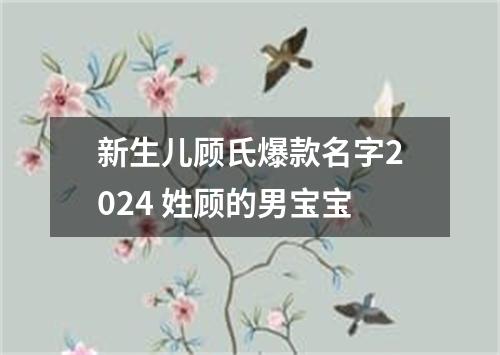 新生儿顾氏爆款名字2024 姓顾的男宝宝