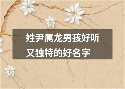 姓尹属龙男孩好听又独特的好名字