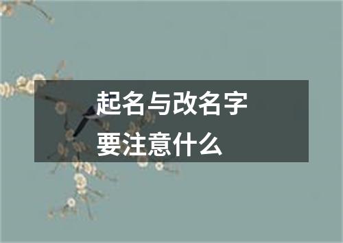 起名与改名字要注意什么