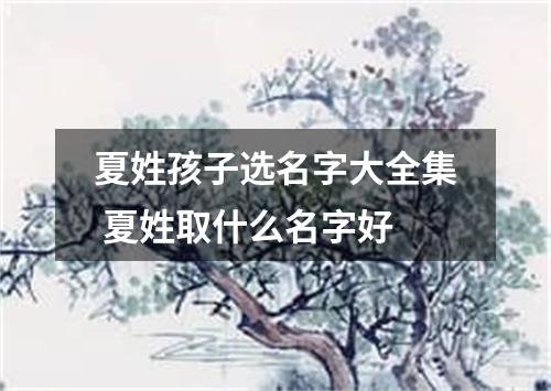 夏姓孩子选名字大全集 夏姓取什么名字好