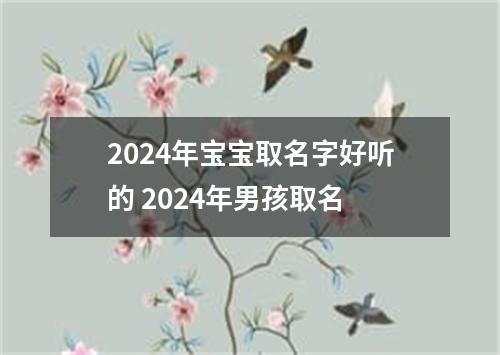 2024年宝宝取名字好听的 2024年男孩取名