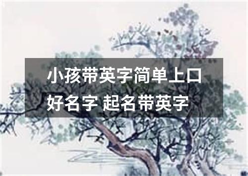 小孩带英字简单上口好名字 起名带英字