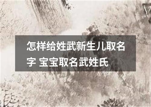 怎样给姓武新生儿取名字 宝宝取名武姓氏