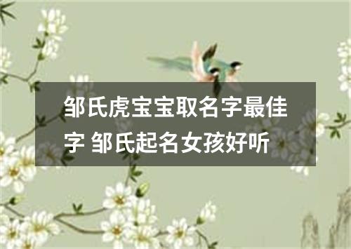 邹氏虎宝宝取名字最佳字 邹氏起名女孩好听