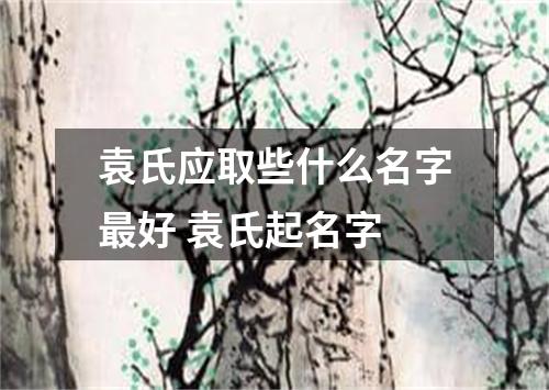 袁氏应取些什么名字最好 袁氏起名字