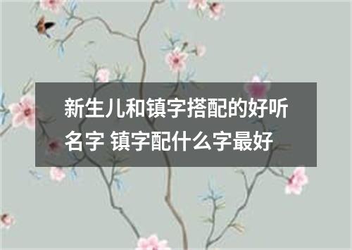 新生儿和镇字搭配的好听名字 镇字配什么字最好