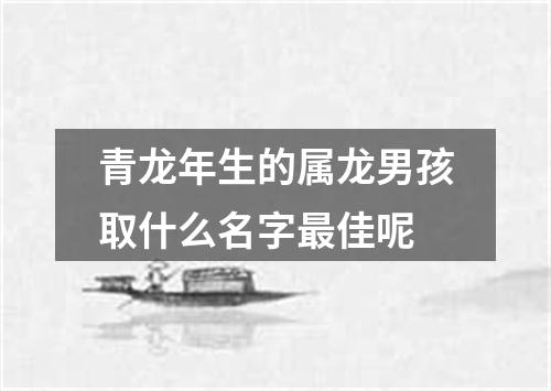 青龙年生的属龙男孩取什么名字最佳呢