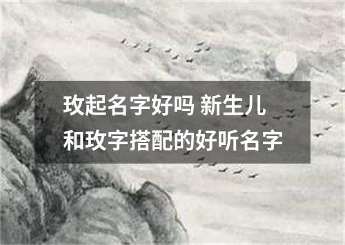玫起名字好吗 新生儿和玫字搭配的好听名字