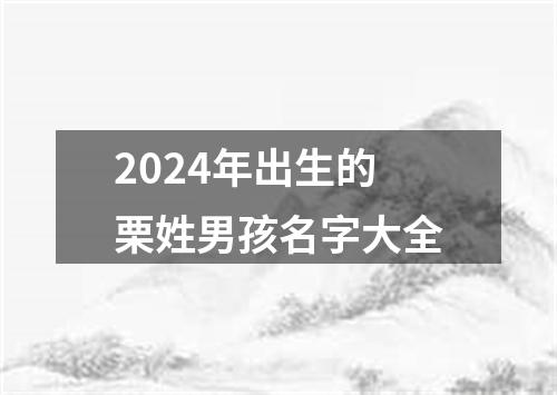 2024年出生的栗姓男孩名字大全