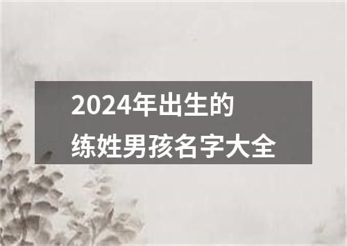 2024年出生的练姓男孩名字大全