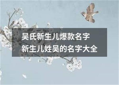 吴氏新生儿爆款名字 新生儿姓吴的名字大全