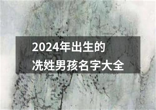 2024年出生的冼姓男孩名字大全
