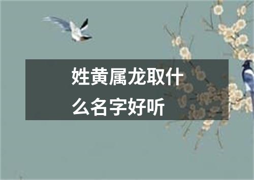 姓黄属龙取什么名字好听