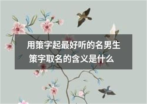 用策字起最好听的名男生 策字取名的含义是什么