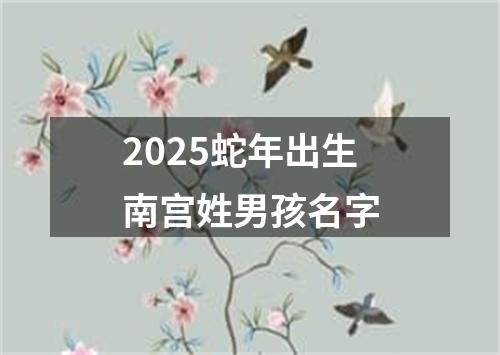 2025蛇年出生南宫姓男孩名字