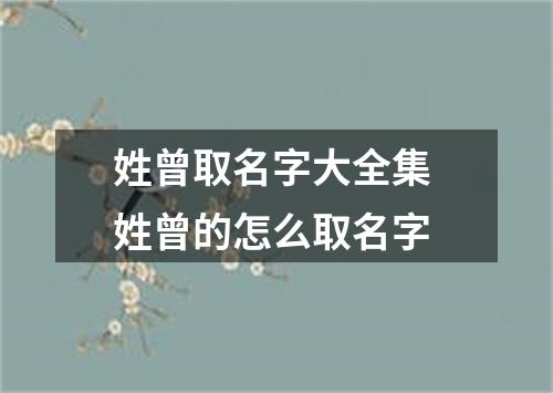 姓曾取名字大全集 姓曾的怎么取名字