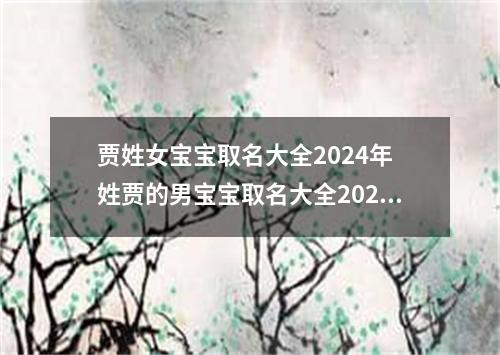 贾姓女宝宝取名大全2024年 姓贾的男宝宝取名大全2024