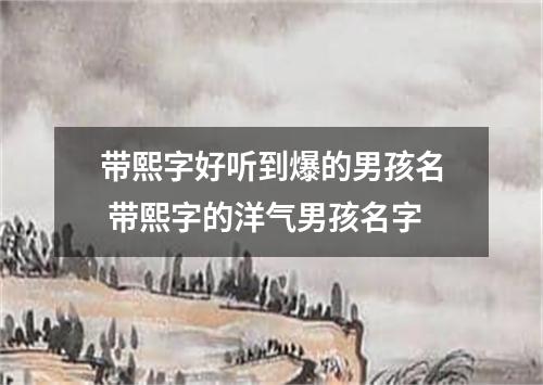带熙字好听到爆的男孩名 带熙字的洋气男孩名字