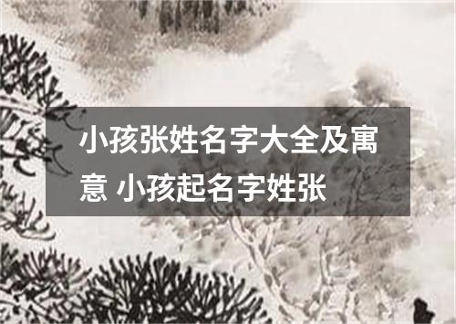 小孩张姓名字大全及寓意 小孩起名字姓张